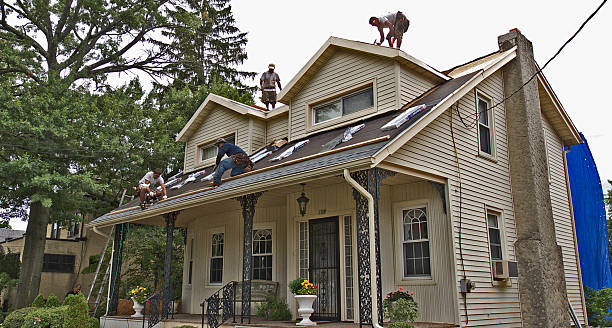 Best Roof Repair Services  in Eton, GA